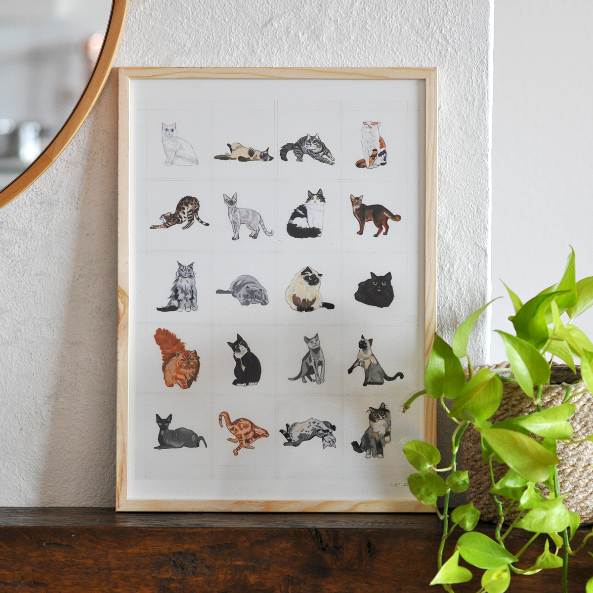 Cat Series
