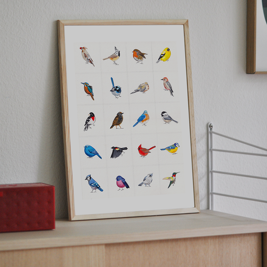 Bird Series