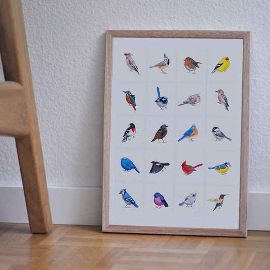 Bird Series