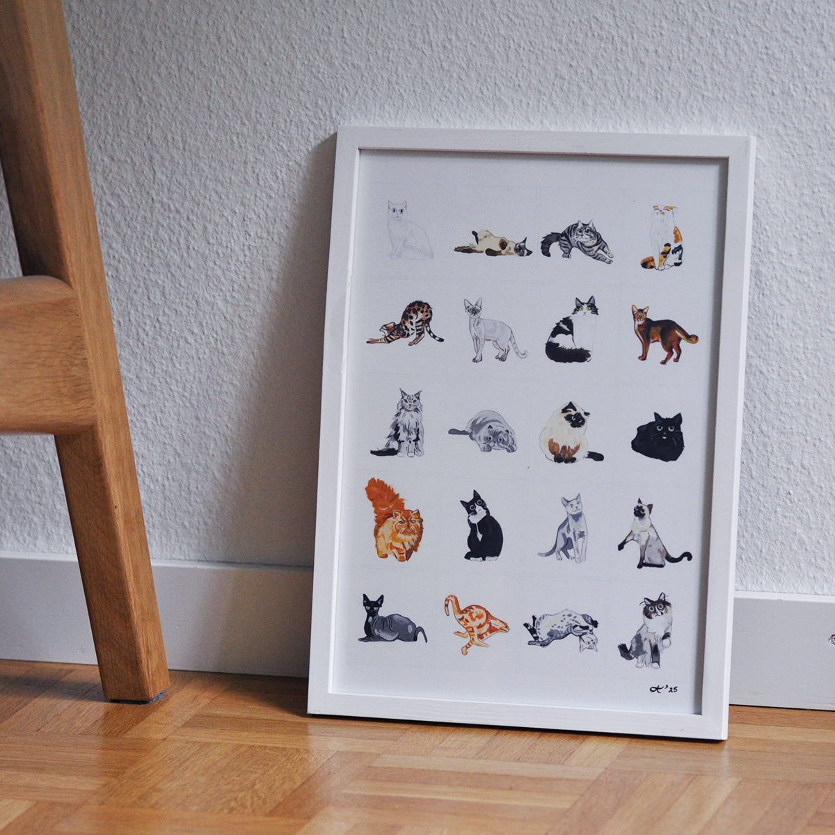 Cat Series