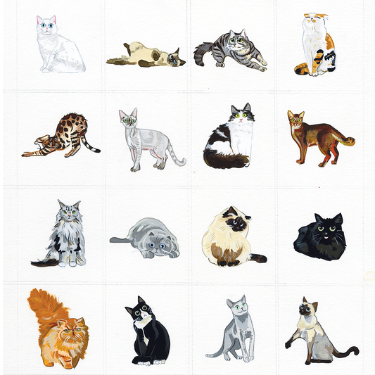Cat Series