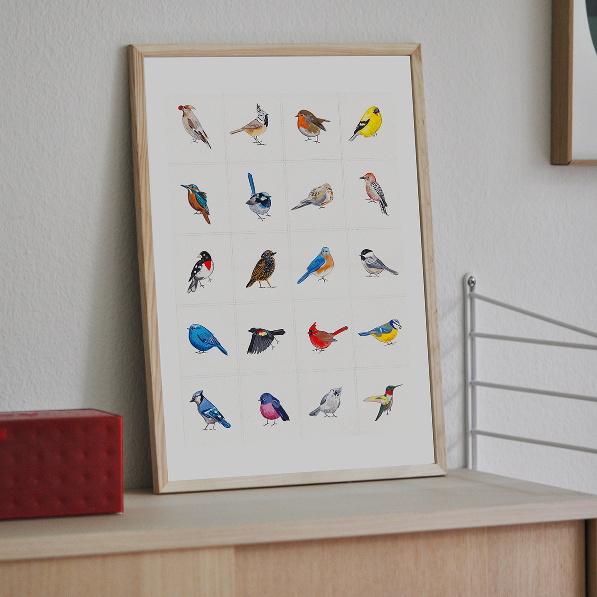 Bird Series