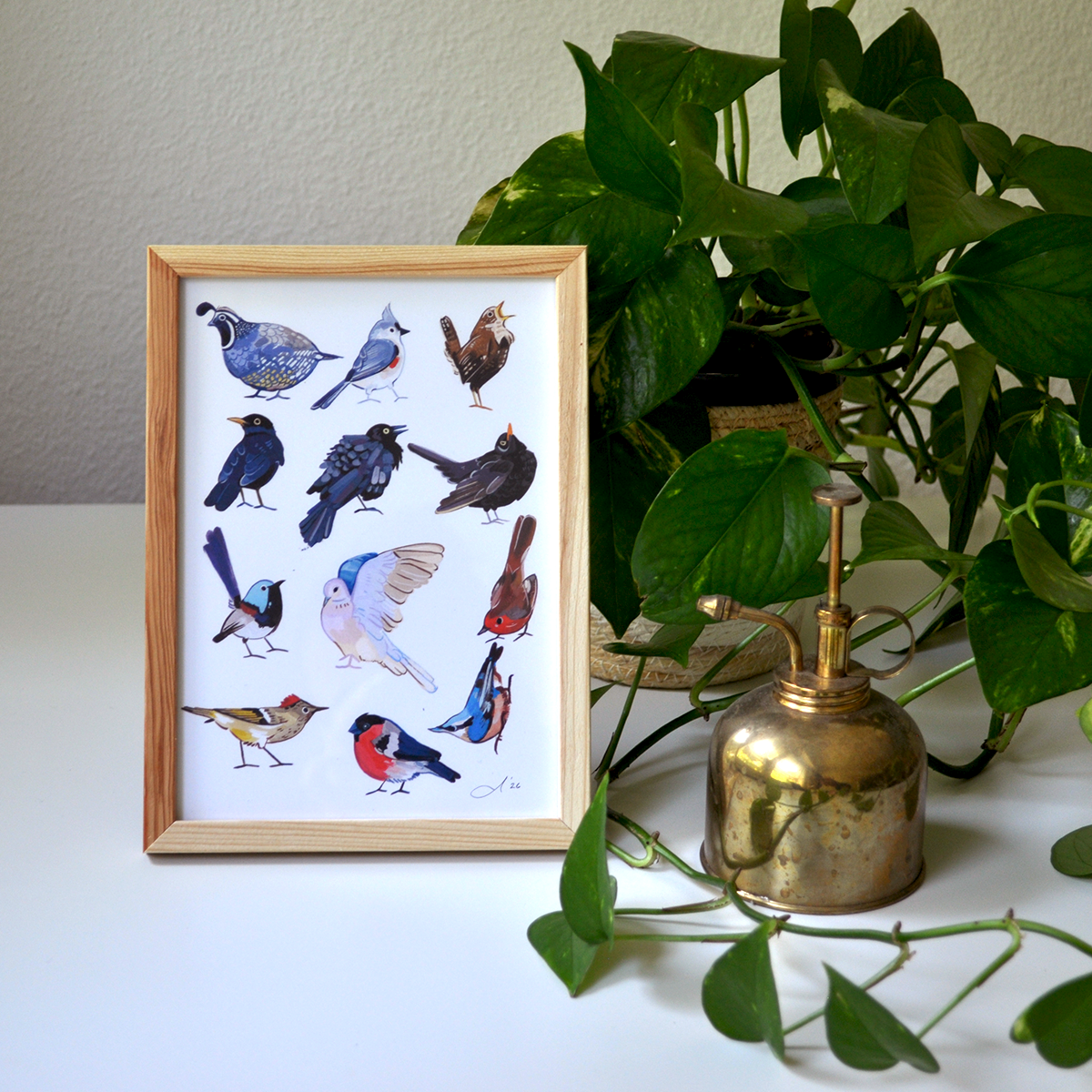 Birbs