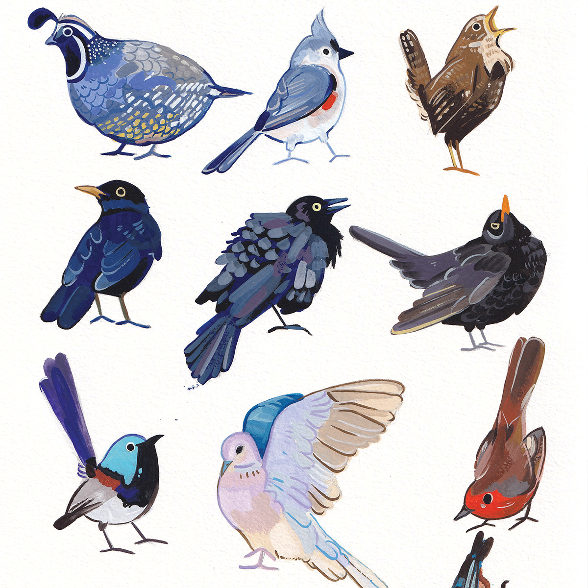 Birbs