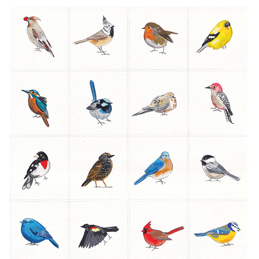 Bird Series