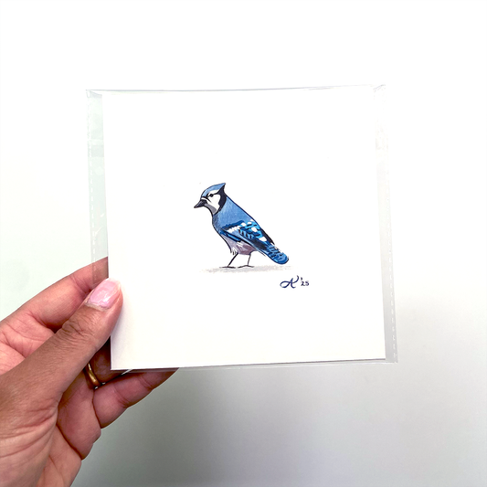 Blue Jay