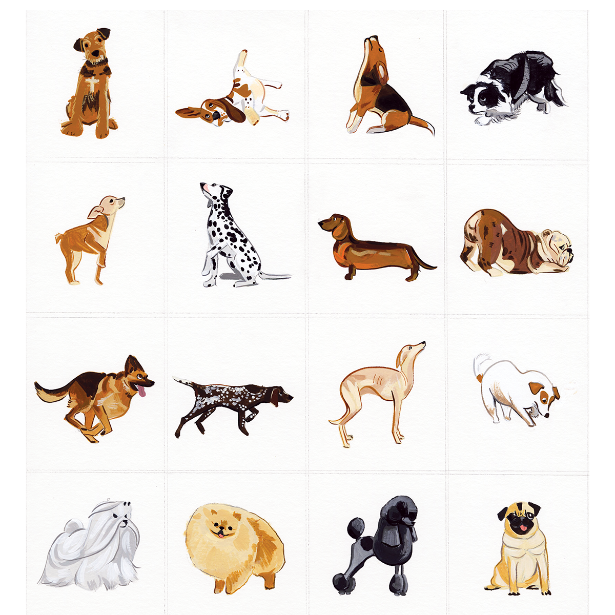Dog Series