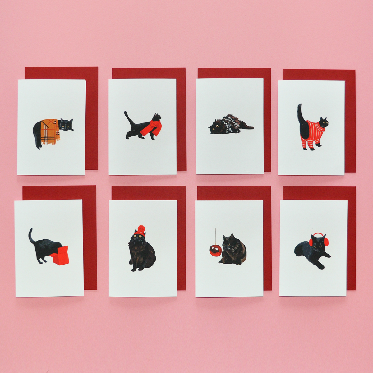 Cat Pack of 8