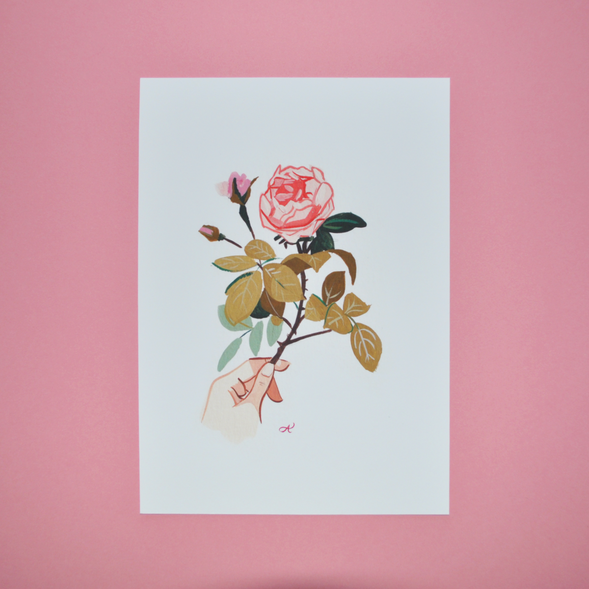 Rose