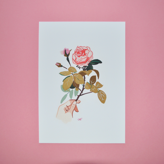 Rose