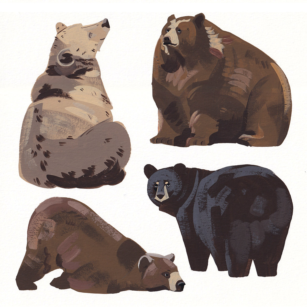 Bears