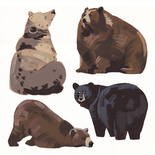 Bears