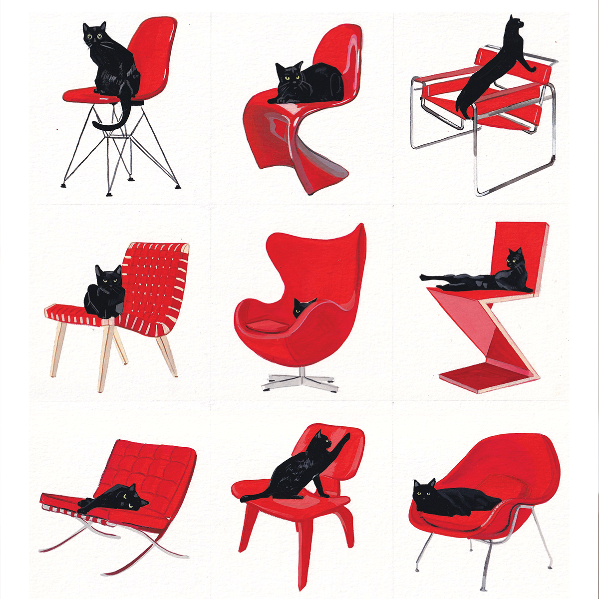 12 Cats Sitting
